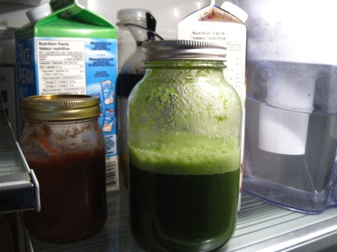 Green Protein Drink